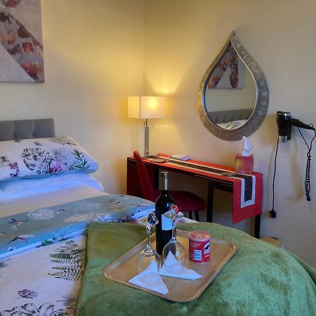 Mountroyal Victorian Studio Self Catering Apartment 3 벨파스트 외부 사진