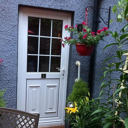 Mountroyal Victorian Studio Self Catering Apartment 3 벨파스트 외부 사진
