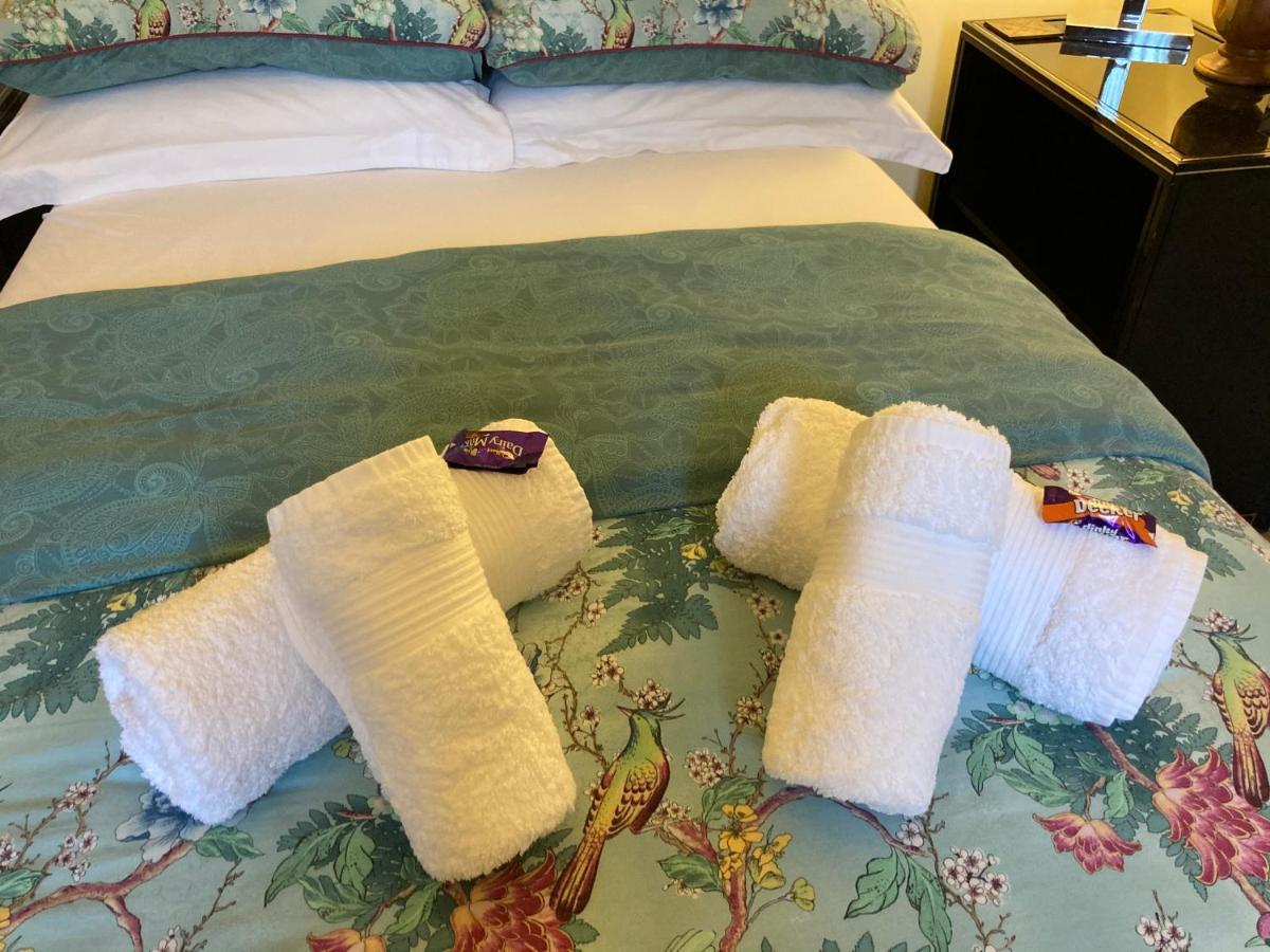 Mountroyal Victorian Studio Self Catering Apartment 3 벨파스트 외부 사진
