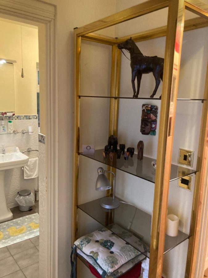 Mountroyal Victorian Studio Self Catering Apartment 3 벨파스트 외부 사진