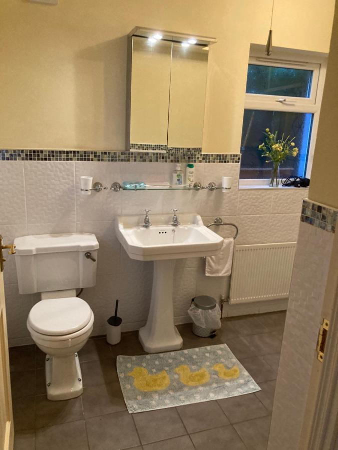 Mountroyal Victorian Studio Self Catering Apartment 3 벨파스트 외부 사진