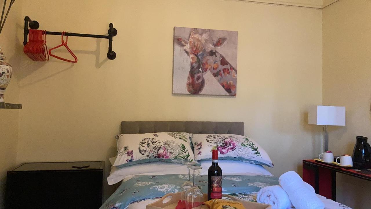 Mountroyal Victorian Studio Self Catering Apartment 3 벨파스트 외부 사진