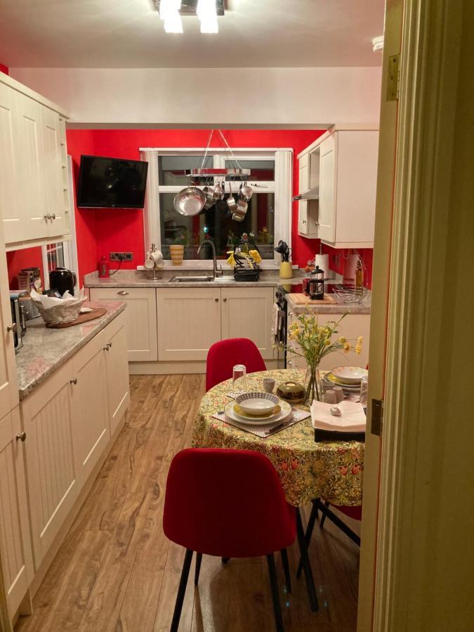 Mountroyal Victorian Studio Self Catering Apartment 3 벨파스트 외부 사진