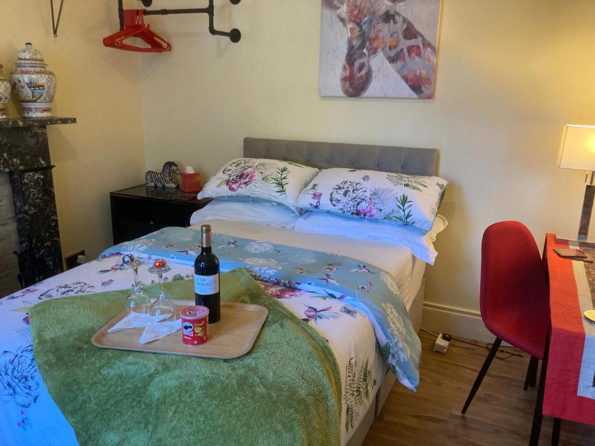 Mountroyal Victorian Studio Self Catering Apartment 3 벨파스트 외부 사진