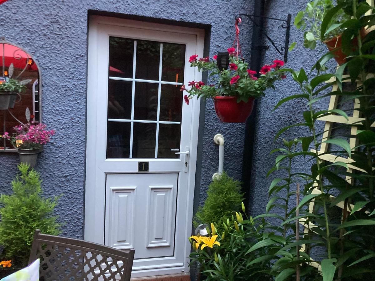 Mountroyal Victorian Studio Self Catering Apartment 3 벨파스트 외부 사진