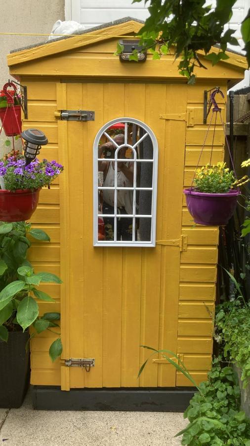 Mountroyal Victorian Studio Self Catering Apartment 3 벨파스트 외부 사진