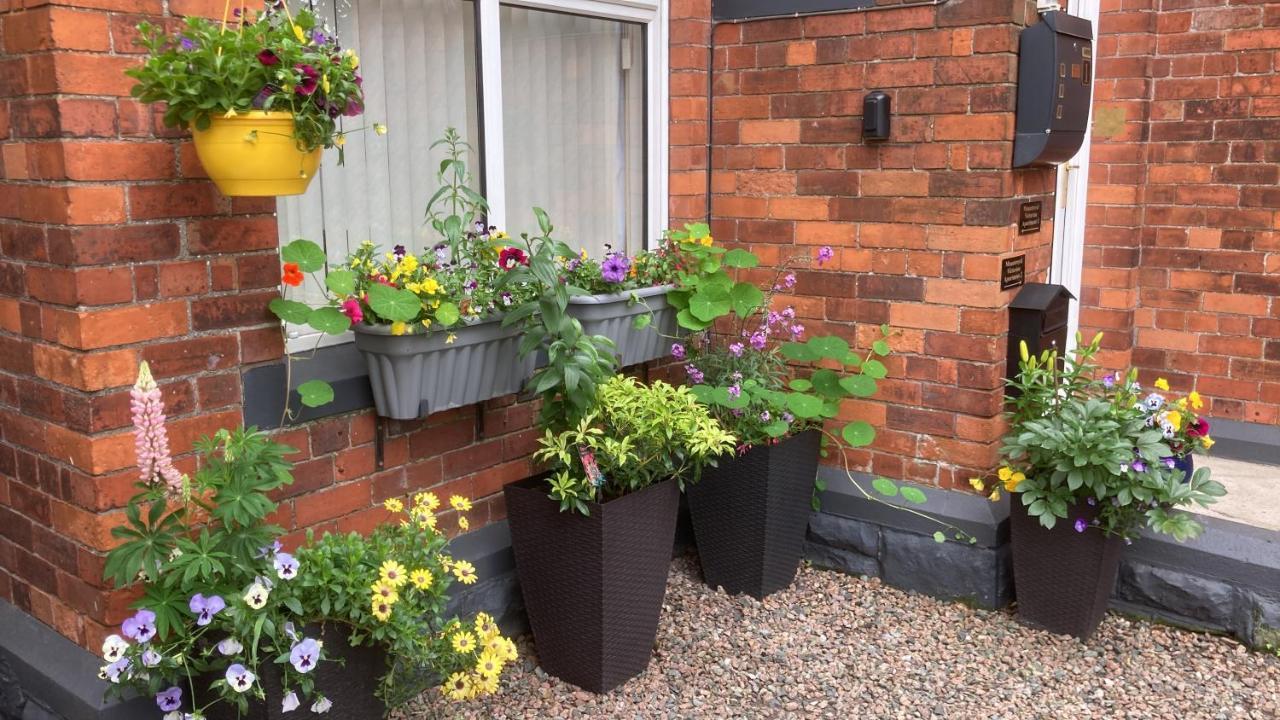 Mountroyal Victorian Studio Self Catering Apartment 3 벨파스트 외부 사진