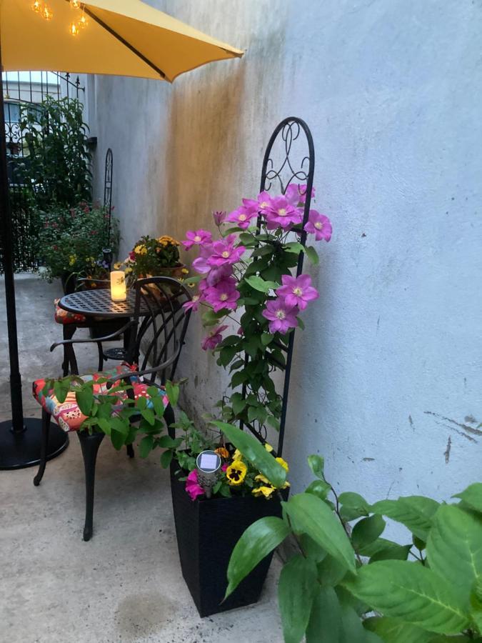 Mountroyal Victorian Studio Self Catering Apartment 3 벨파스트 외부 사진
