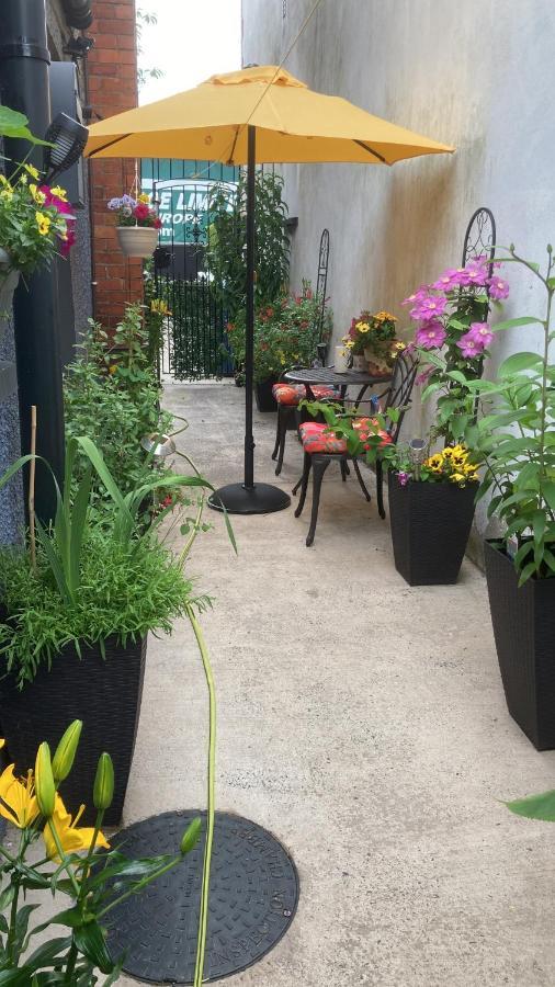 Mountroyal Victorian Studio Self Catering Apartment 3 벨파스트 외부 사진
